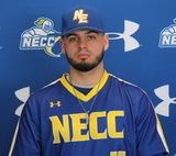 Expectations are high for the upcoming baseball season