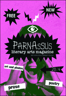 Parnassus wins national award