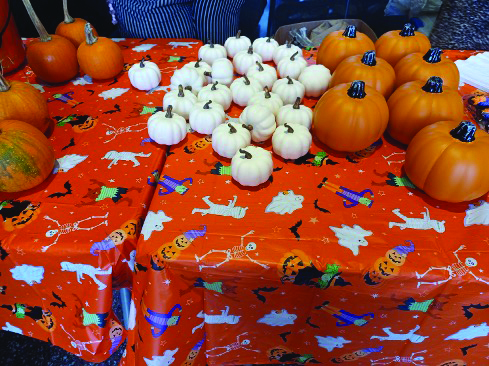 Pumpkin Palooza