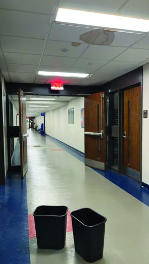 Water woes in the Spurk building