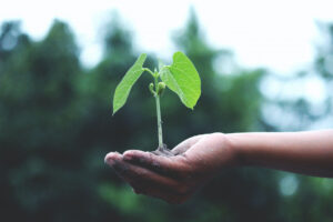 After Earth Day: How to continue to care for the planet all year long