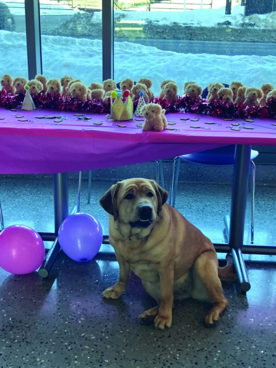 It’s a WinWin pawty!