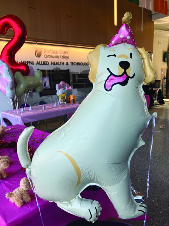 It’s a WinWin pawty!