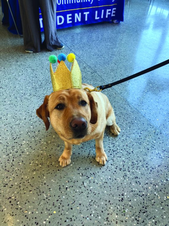 It’s a WinWin pawty!