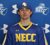 Expectations are high for the upcoming baseball season