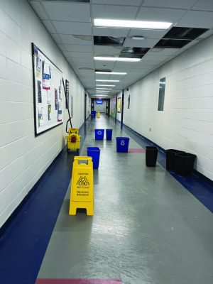 Water woes in the Spurk building