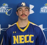 Expectations are high for the upcoming baseball season