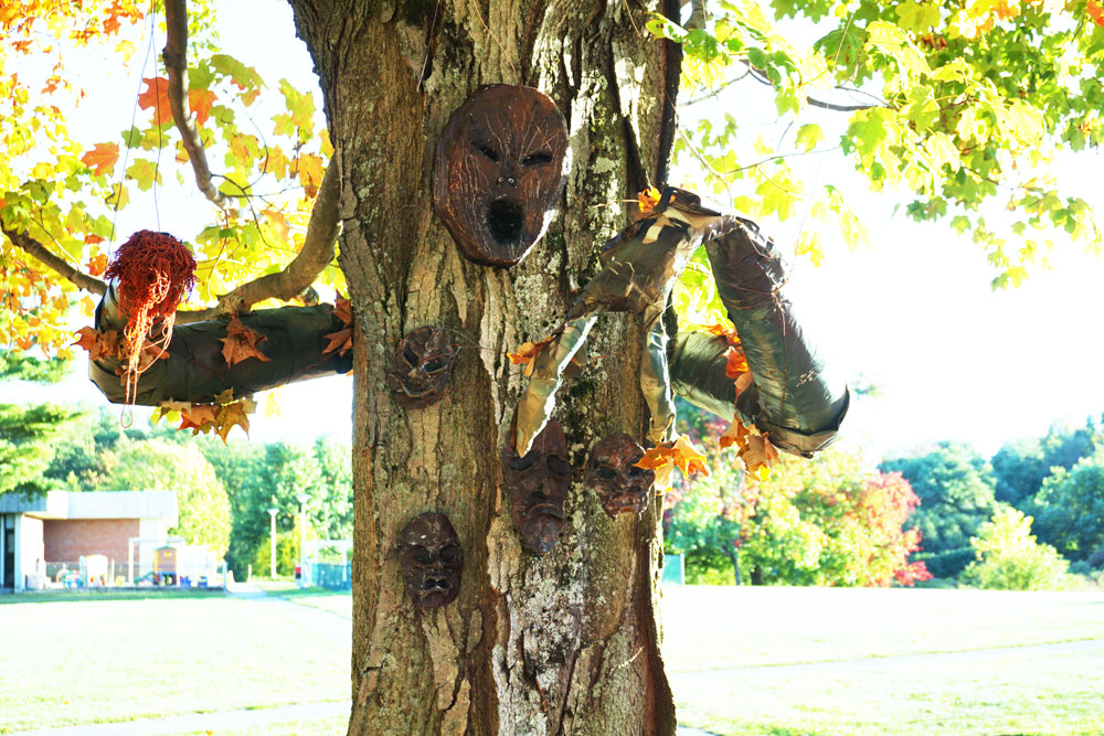 This is a photo of a tree with a face on it.