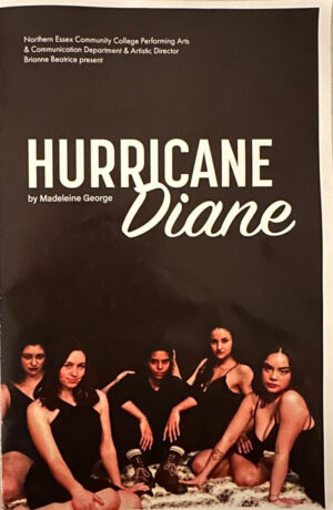 Poster for play Hurricane Diane with photo of actresses and white text saying Hurricane Diane