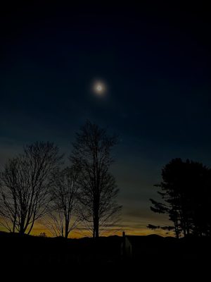 Trees and sky is near dark during the total solar eclipse in Vermont on April 8. 