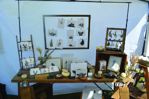 Wildlife illustrations and art at Vintage Bazaar Kimball Farm