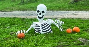 Skeleton coming out of the grass surrounded by pumkins