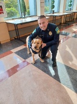  A man in a police uniform with a golden lab dog. 