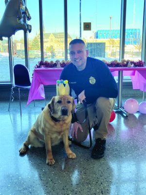 A man kneels by a dog wearing a paper crown.
